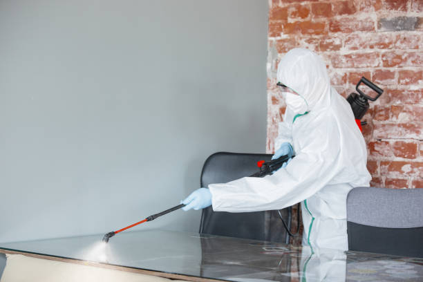 Mold Remediation for Vacation Homes in St Jaco, IL